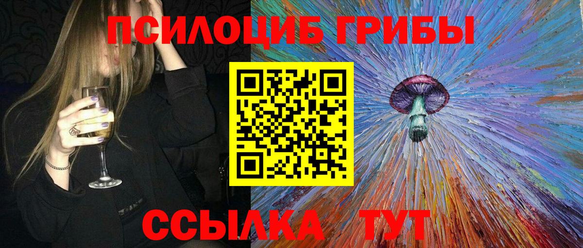 где купить   Галлюциногенные грибы прущие грибы  Вход с VPN  Будённовск 