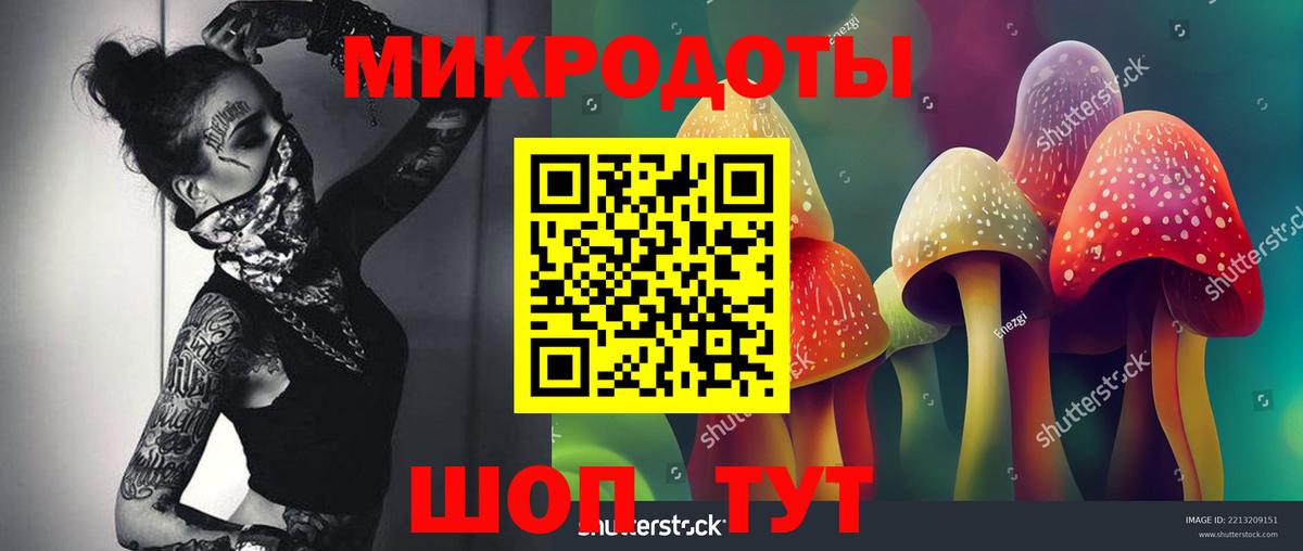 Галлюциногенные грибы мухоморы Будённовск