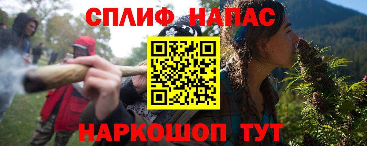 Бошки Шишки планчик Будённовск
